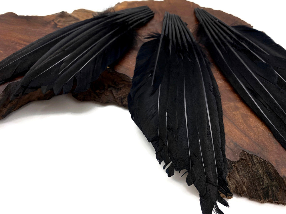 1 Piece - Black Dyed Duck Pointer Wing Fan Trim Pad