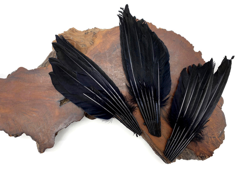 1 Piece - Black Dyed Duck Pointer Wing Fan Trim Pad