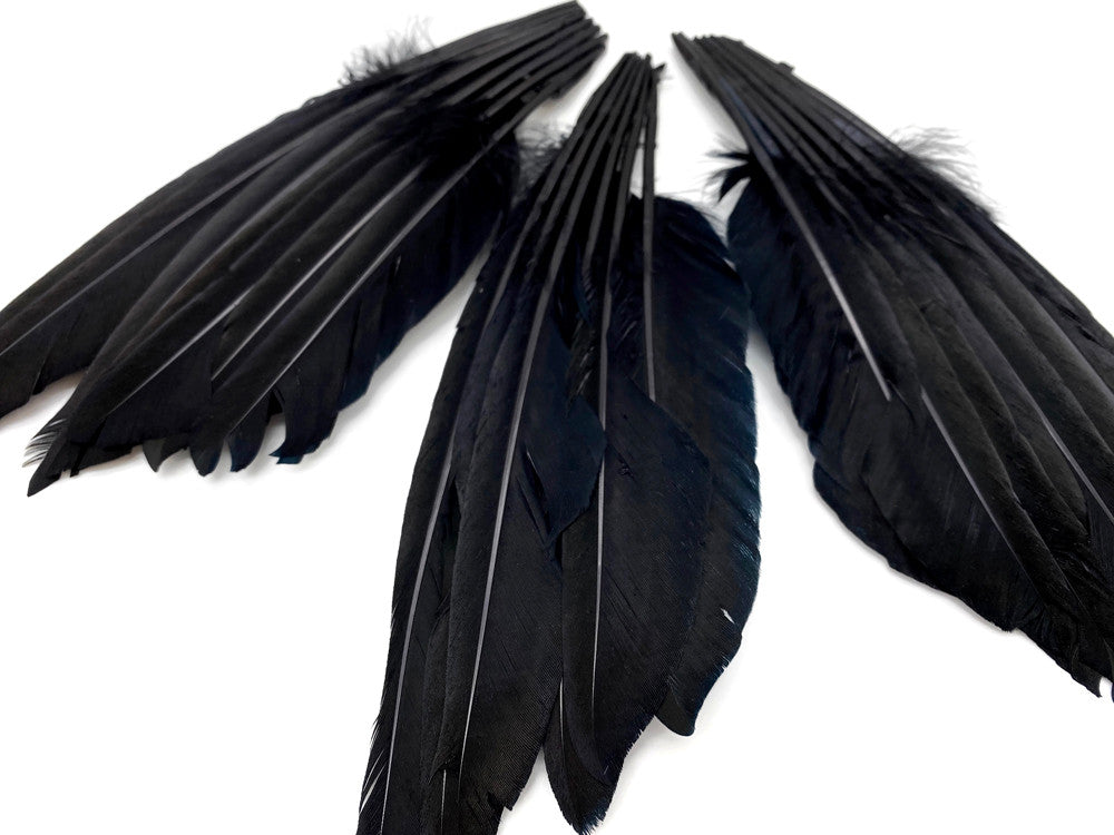 1 Piece - Black Dyed Duck Pointer Wing Fan Trim Pad