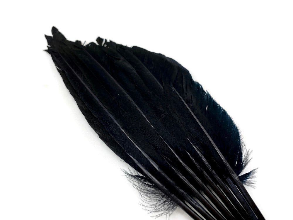 1 Piece - Black Dyed Duck Pointer Wing Fan Trim Pad