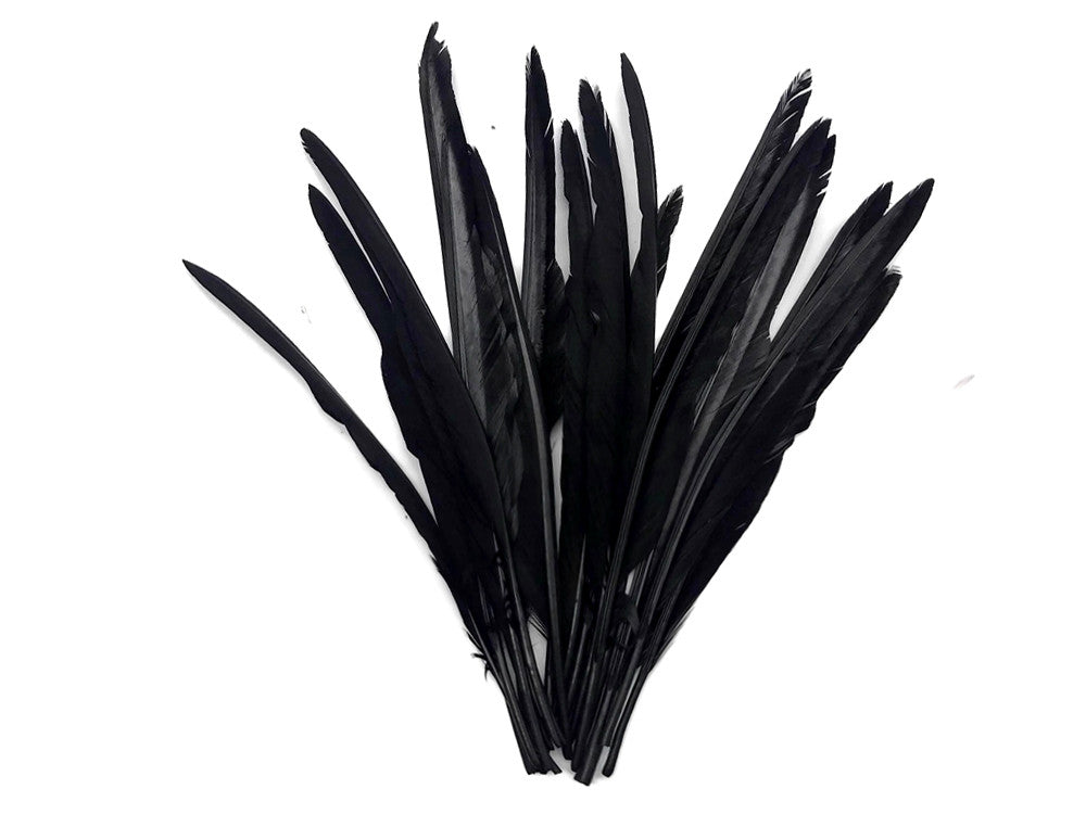 1/4 Lb. - Black Goose Pointers Long Primaries Wing Wholesale Feathers (Bulk)