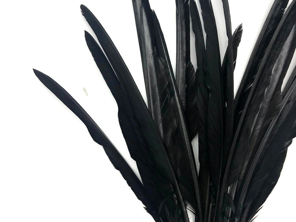 1/4 Lb. - Black Goose Pointers Long Primaries Wing Wholesale Feathers (Bulk)