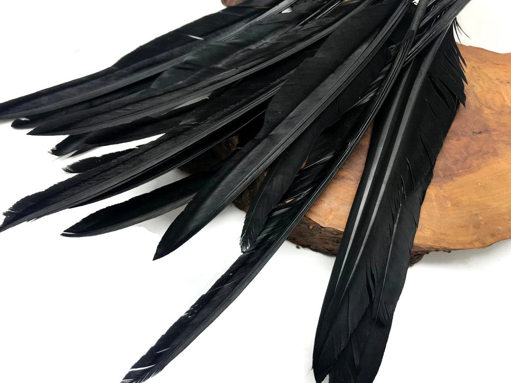 10 Pieces - Black Goose Pointers Long Primaries Wing Feathers