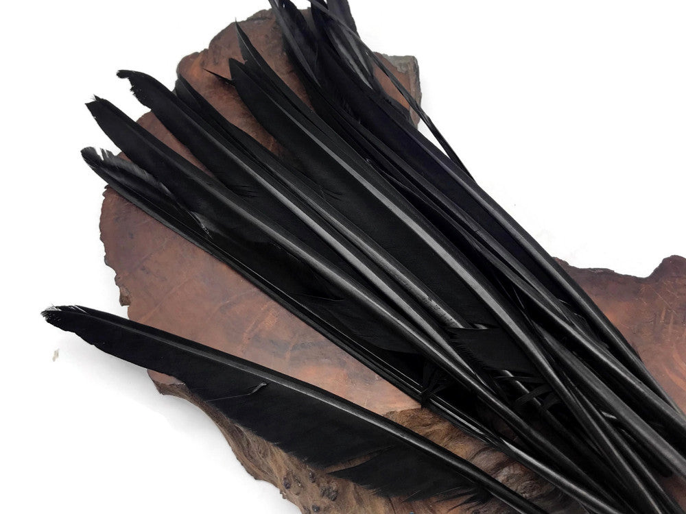 10 Pieces - Black Goose Pointers Long Primaries Wing Feathers