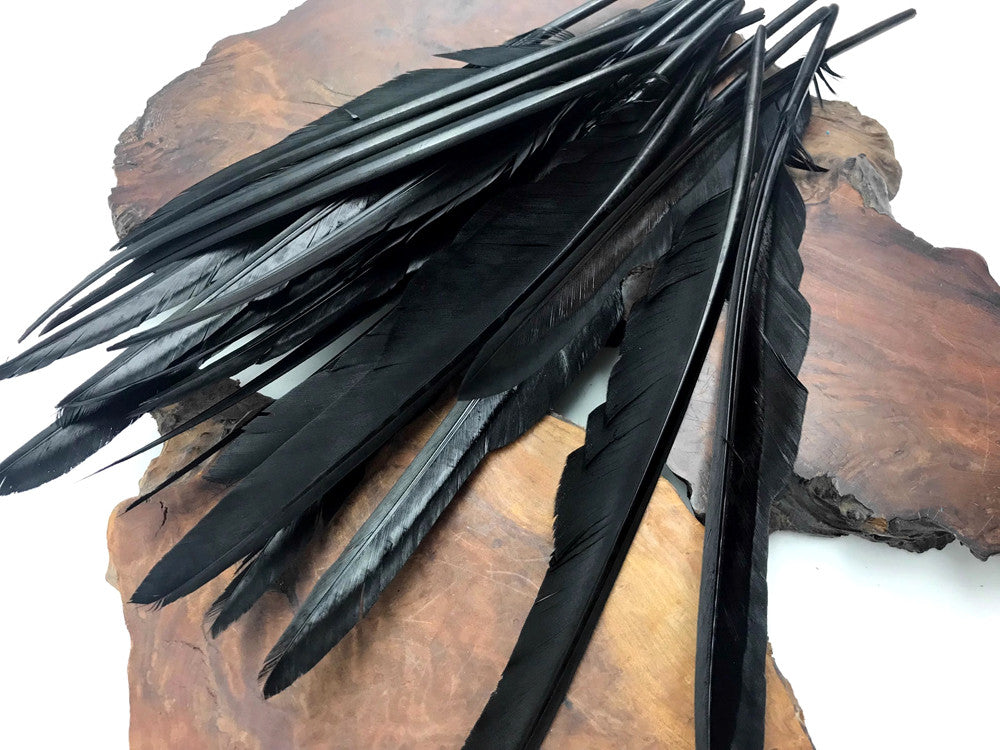 10 Pieces - Black Goose Pointers Long Primaries Wing Feathers