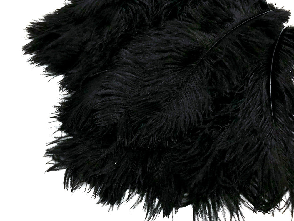 10 Pieces - 8-10" Black Ostrich Drab Dyed Feathers