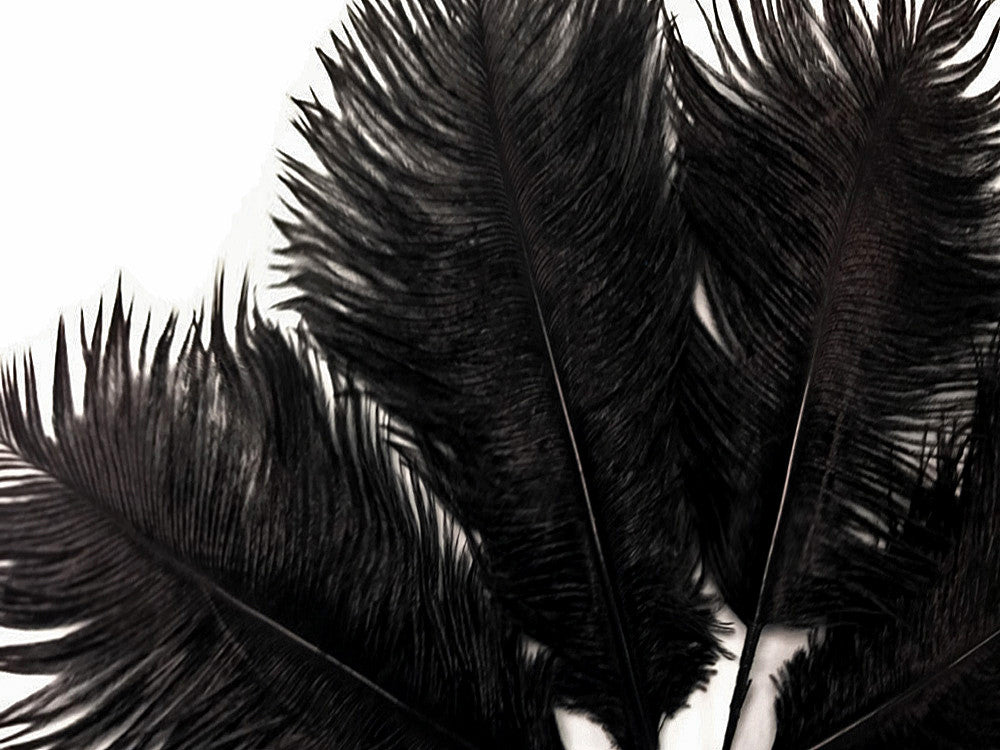 10 Pieces - 8-10" Black Ostrich Drab Dyed Feathers