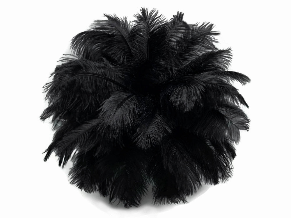 10 Pieces - 14-17"  Black Ostrich Dyed Drab Body Feathers
