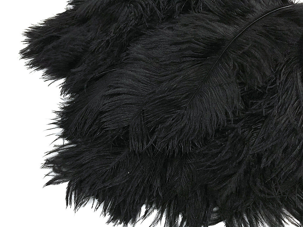 10 Pieces - 17-19" Black Large Bleached & Dyed Ostrich Drabs Body Feathers