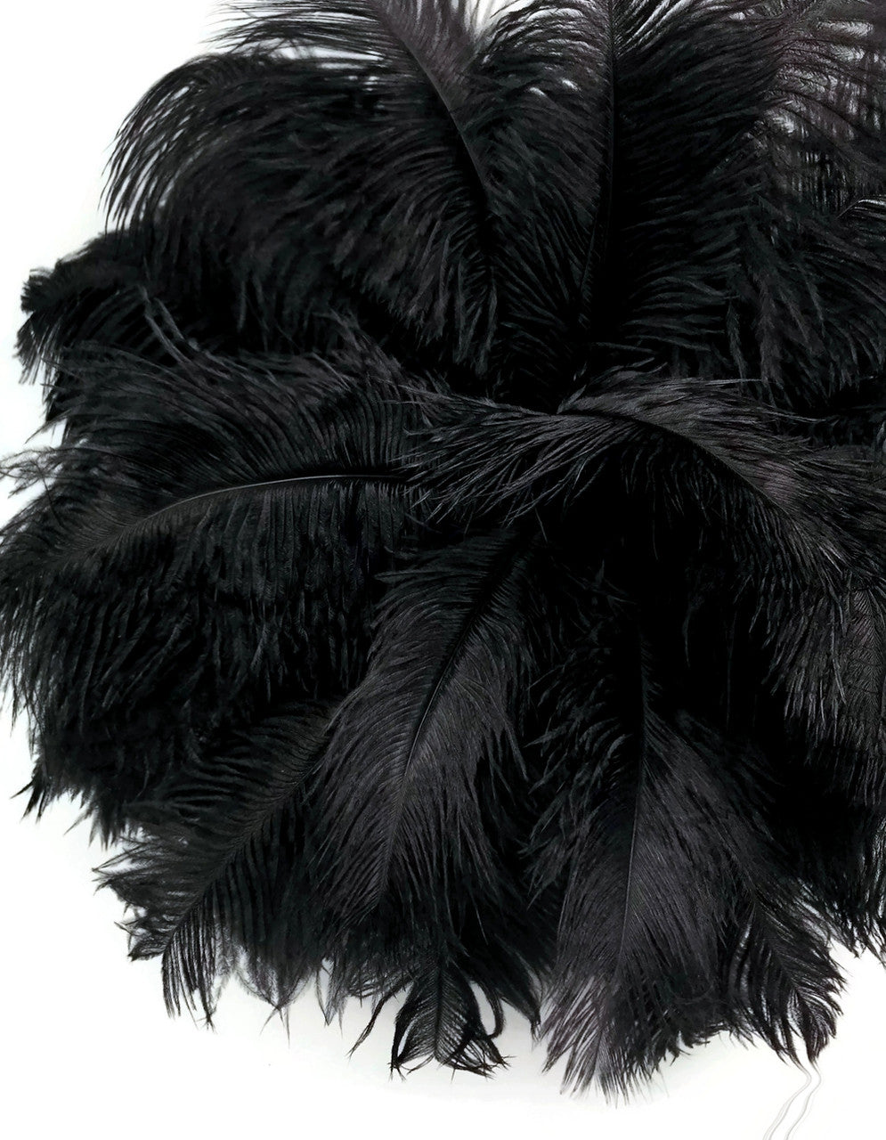 10 Pieces - 8-10" Black Ostrich Drab Dyed Feathers