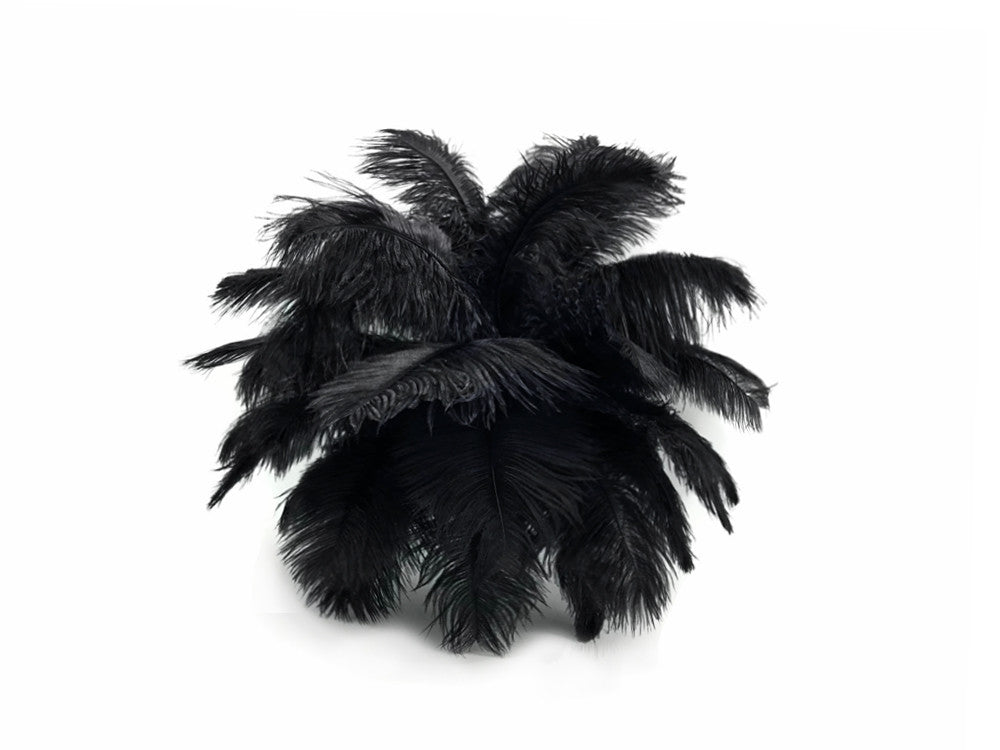 10 Pieces - 8-10" Black Ostrich Drab Dyed Feathers