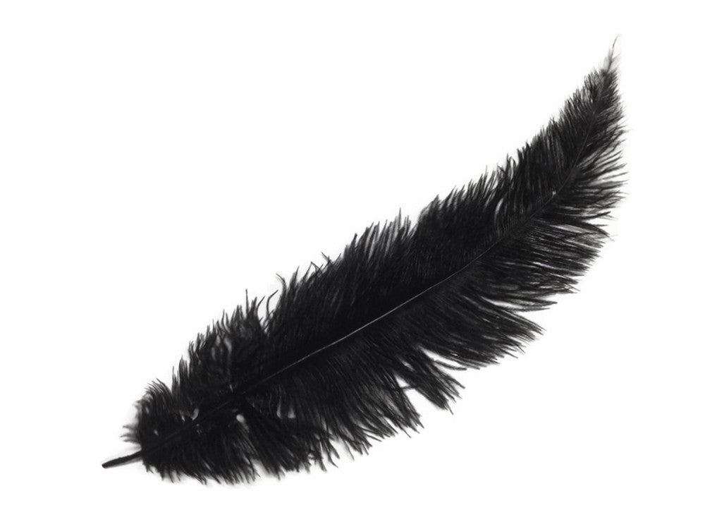 20 Pieces - Black Mini Spads Ostrich Chick Body Feathers