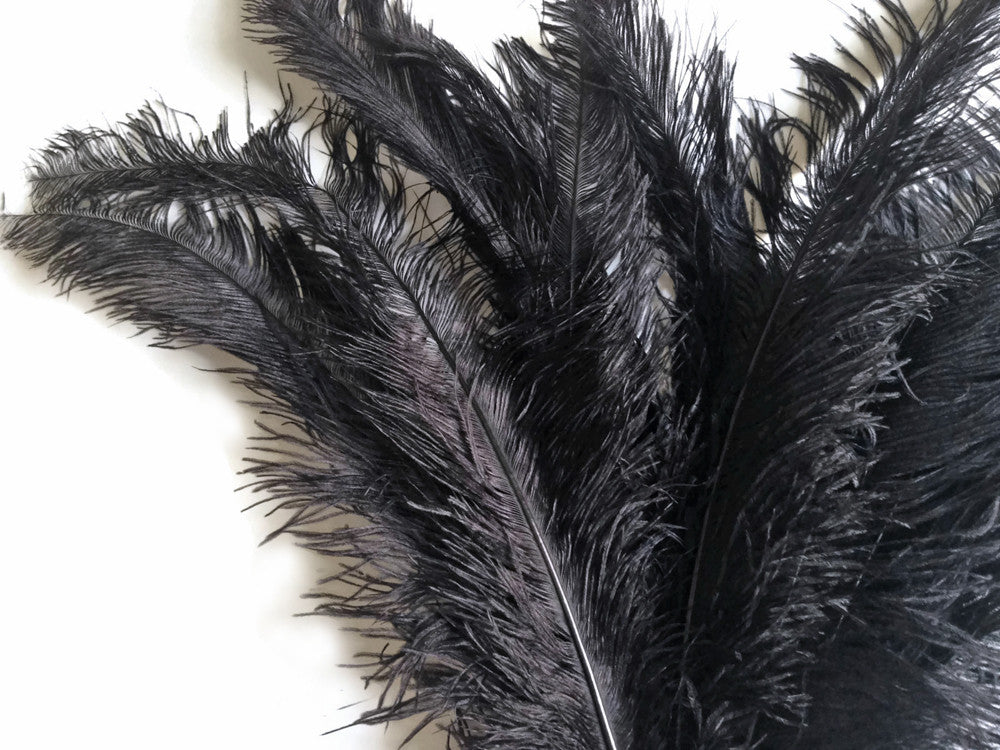 1/2 Lb - Black Large Ostrich Spads Wholesale Feathers 20-28" (Bulk)