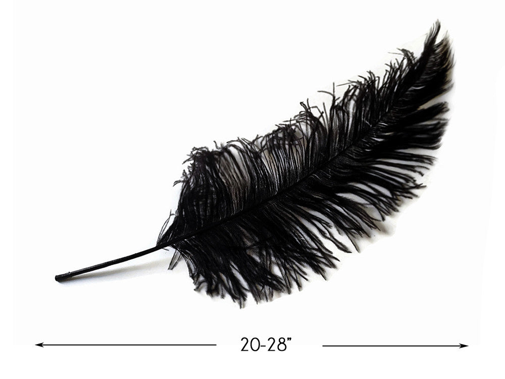 1/2 Lb - Black Large Ostrich Spads Wholesale Feathers 20-28" (Bulk)