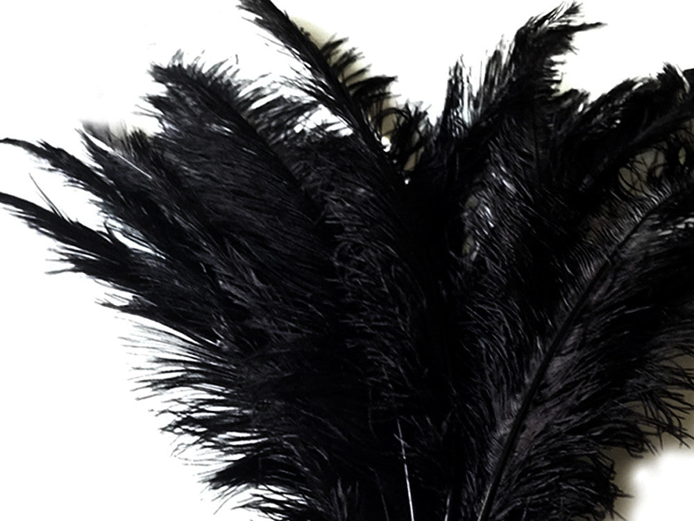 10 Pieces - 20-28" Black Ostrich Spads Large Feathers