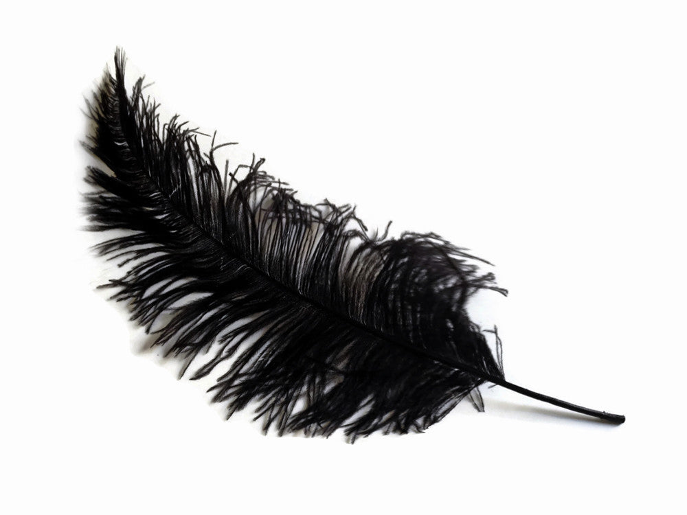 1/2 Lb - Black Large Ostrich Spads Wholesale Feathers 20-28" (Bulk)