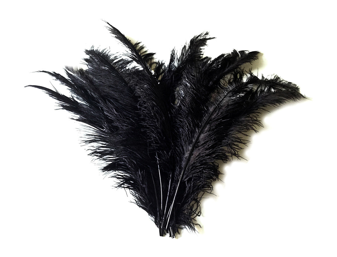 10 Pieces - 20-28" Black Ostrich Spads Large Feathers