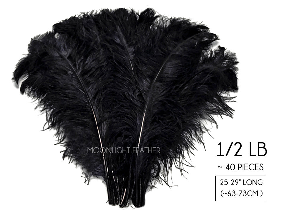 1/2 lb. - 25-29" Black Large Ostrich Wing Plumes Wholesale Feathers (Bulk)