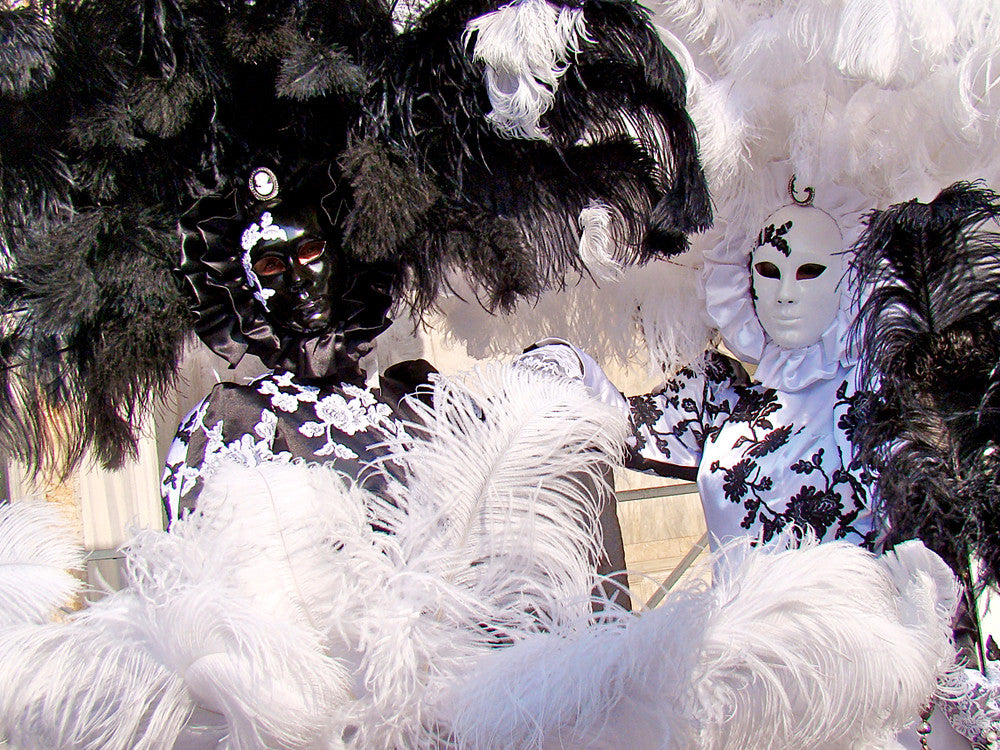 1/2 Lb. - 25-29" White X-Large Ostrich Wing Plumes Wholesale Feathers (Bulk)