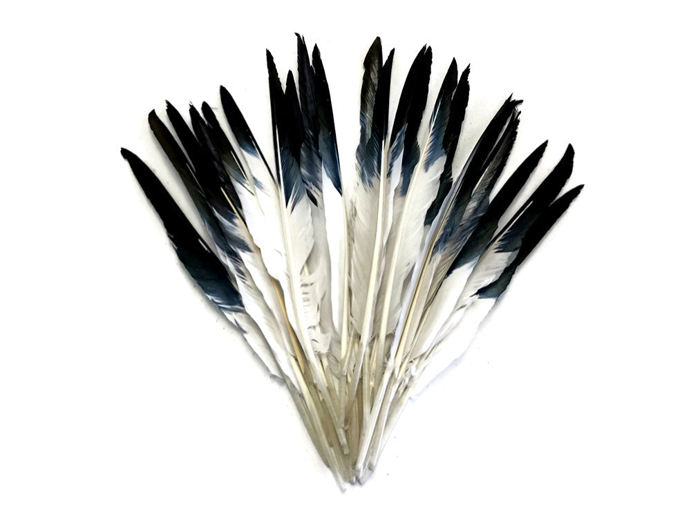 10 Pieces - White Tipped Black Goose Pointers Long Primaries Wing Feathers