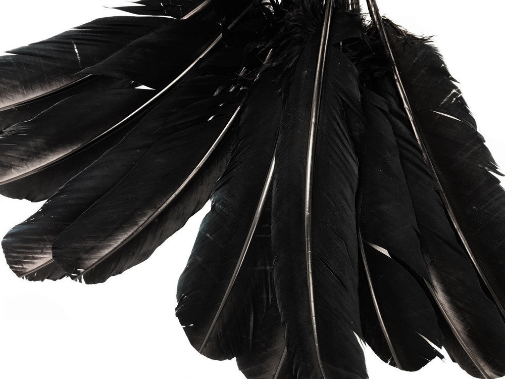 6 Pieces - Black Turkey Rounds Secondary Wing Quill Feathers