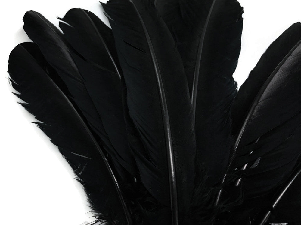 6 Pieces - Black Turkey Rounds Secondary Wing Quill Feathers