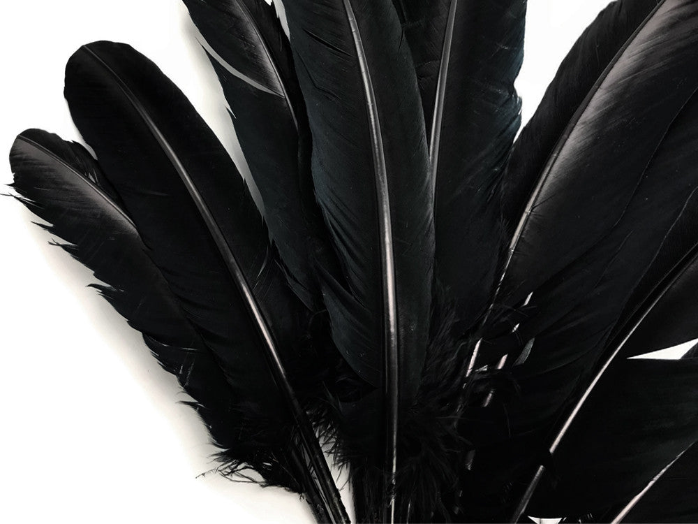 6 Pieces - Black Turkey Rounds Secondary Wing Quill Feathers