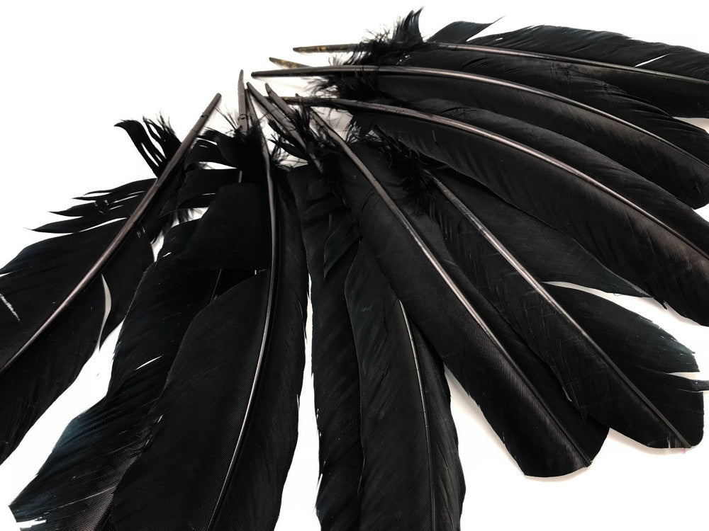 6 Pieces - Black Turkey Rounds Secondary Wing Quill Feathers