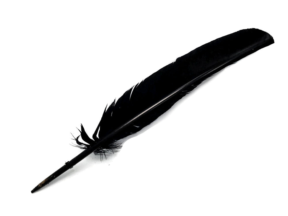 6 Pieces - Black Turkey Pointers Primary Wing Quill Large Feathers