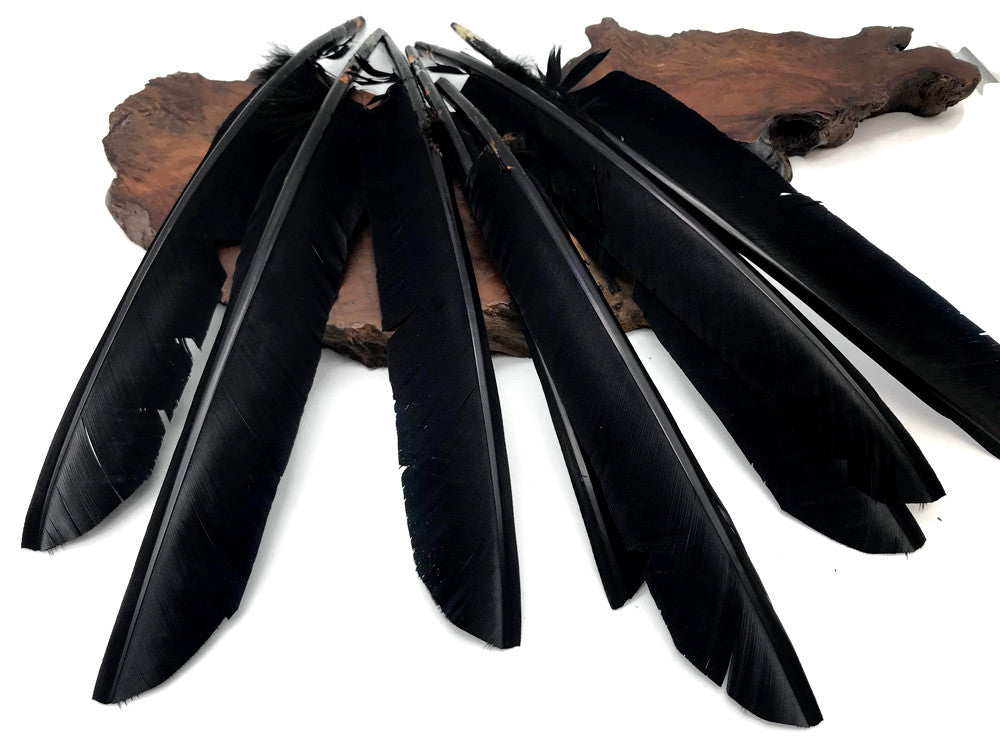 6 Pieces - Black Turkey Pointers Primary Wing Quill Large Feathers