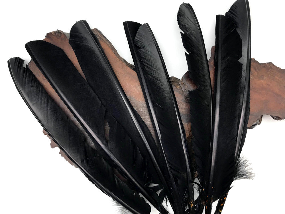 Wing Feathers, 1 Lb - Peach Turkey Rounds Wing Quill Wholesale Feathers (Bulk) Halloween Craft Supplier : 4969 on sale