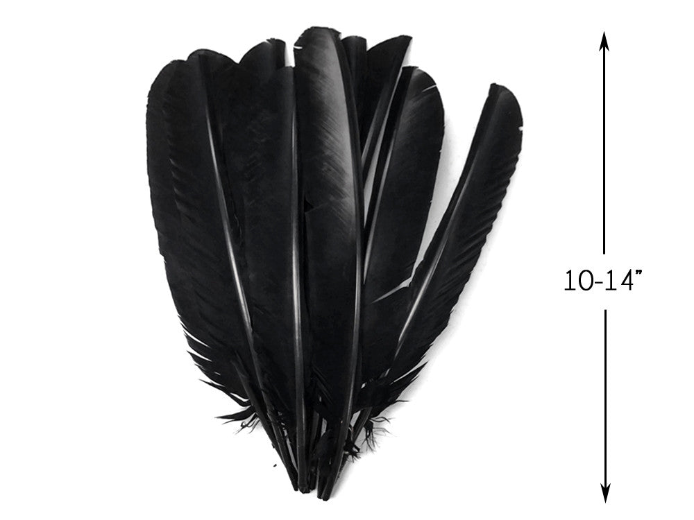 6 Pieces - Black Turkey Pointers Primary Wing Quill Large Feathers