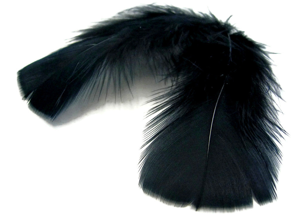 1/4 Lb - Black Turkey T-Base Wholesale Body Plumage Feathers (Bulk)