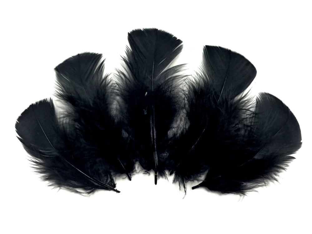 1 Pack - Black Dyed Turkey T-Base triangle Body Plumage Feathers 0.50 Oz.