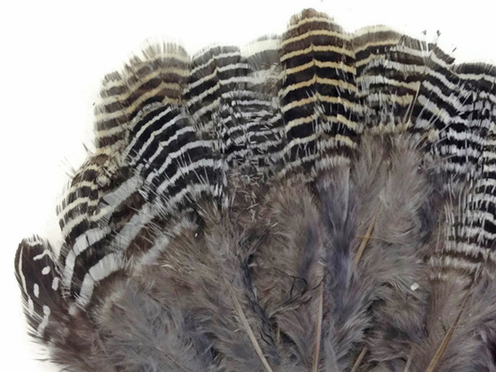 10 Pieces - Natural Black And White Partridge Small Plumage Feathers