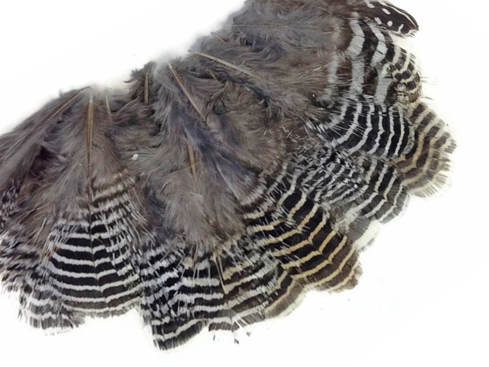 10 Pieces - Natural Black And White Partridge Small Plumage Feathers