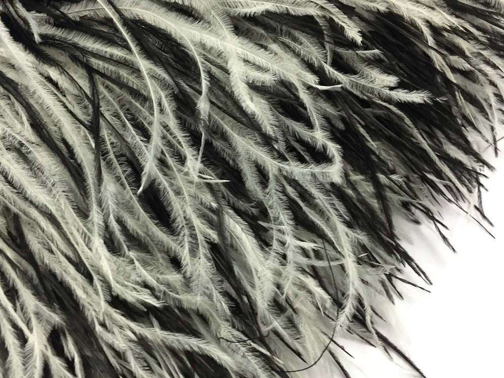 6 Inch Strip - Black & White Ostrich Fringe Trim Feather