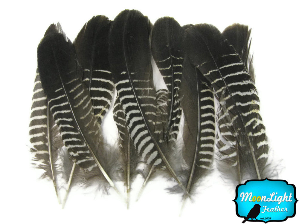 10 Pieces - Black And White Partridge Wing Feathers