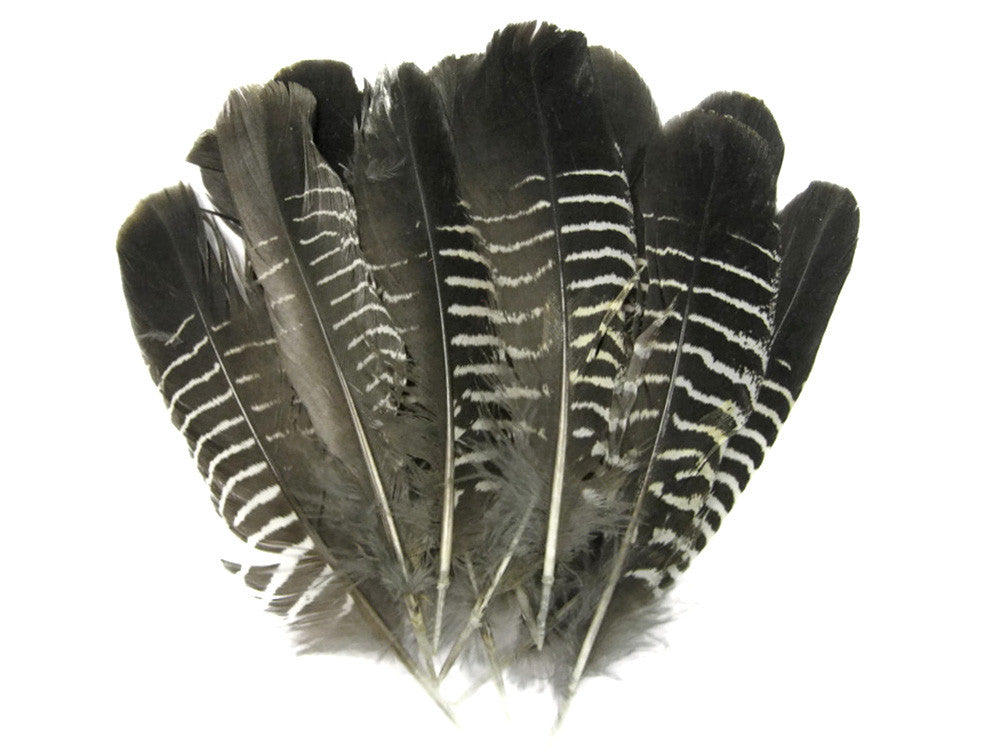 10 Pieces - Black And White Partridge Wing Feathers