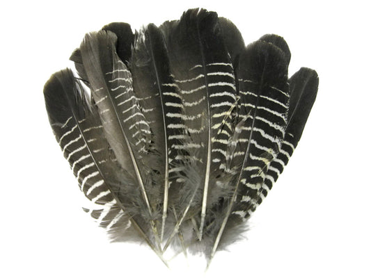 10 Pieces - Black And White Partridge Wing Feathers