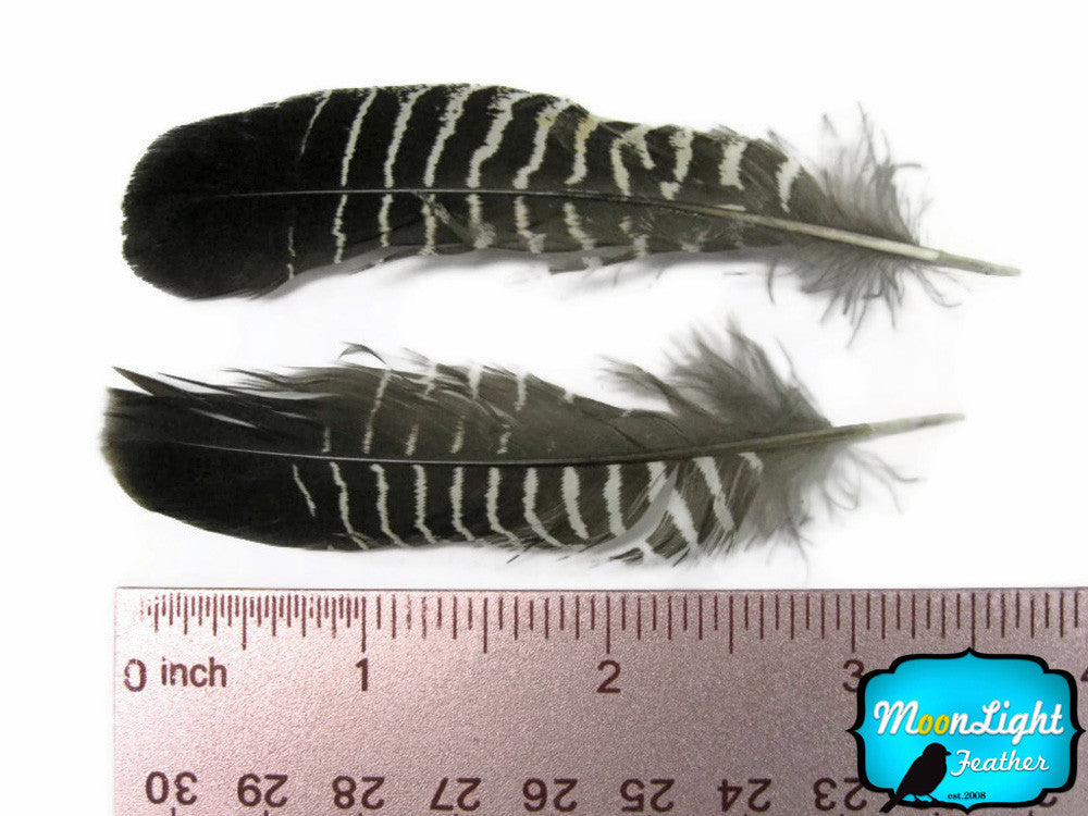 10 Pieces - Black And White Partridge Wing Feathers