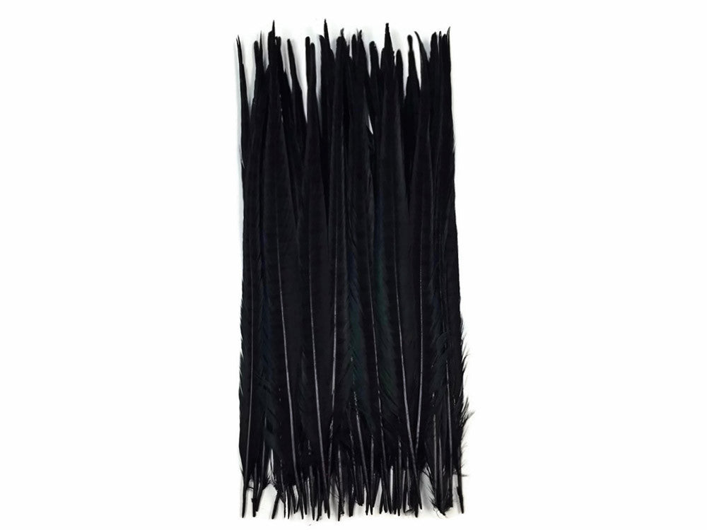 50 Pieces - 18-22" Black Bleached & Dyed Long Ringneck Pheasant Tail Wholesale Feathers (Bulk)