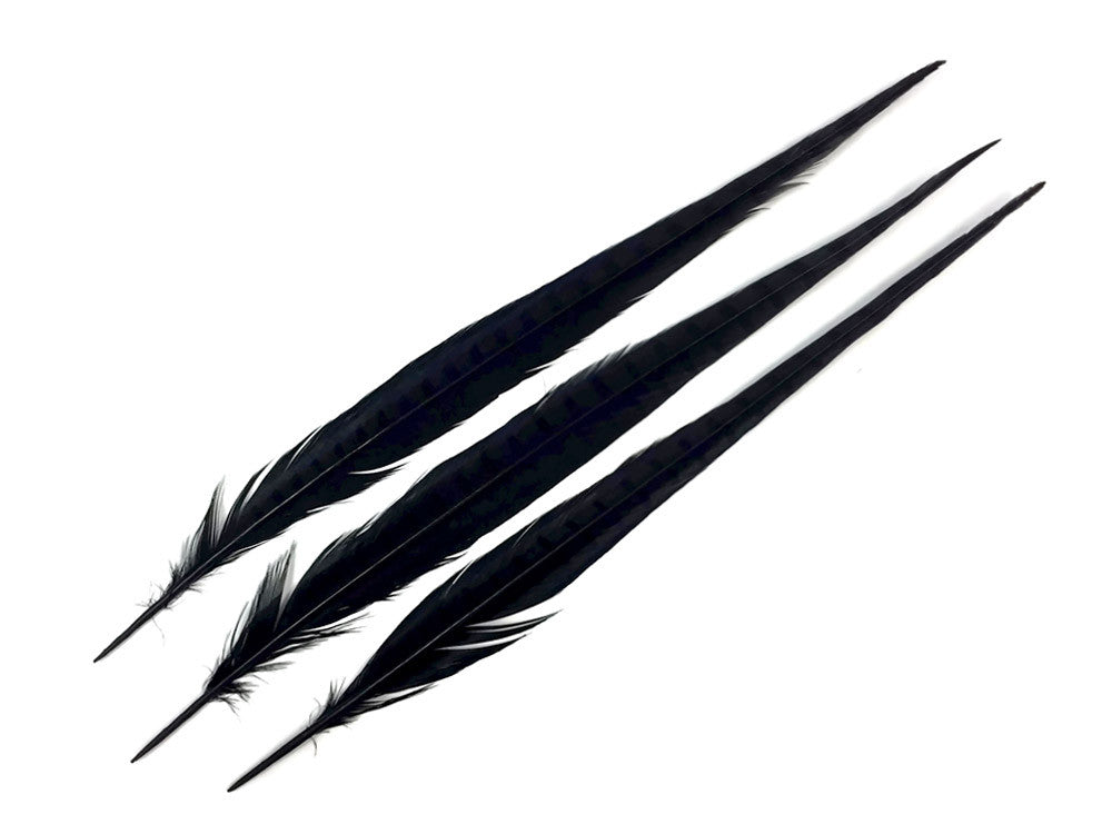 50 Pieces - 18-22" Black Bleached & Dyed Long Ringneck Pheasant Tail Wholesale Feathers (Bulk)