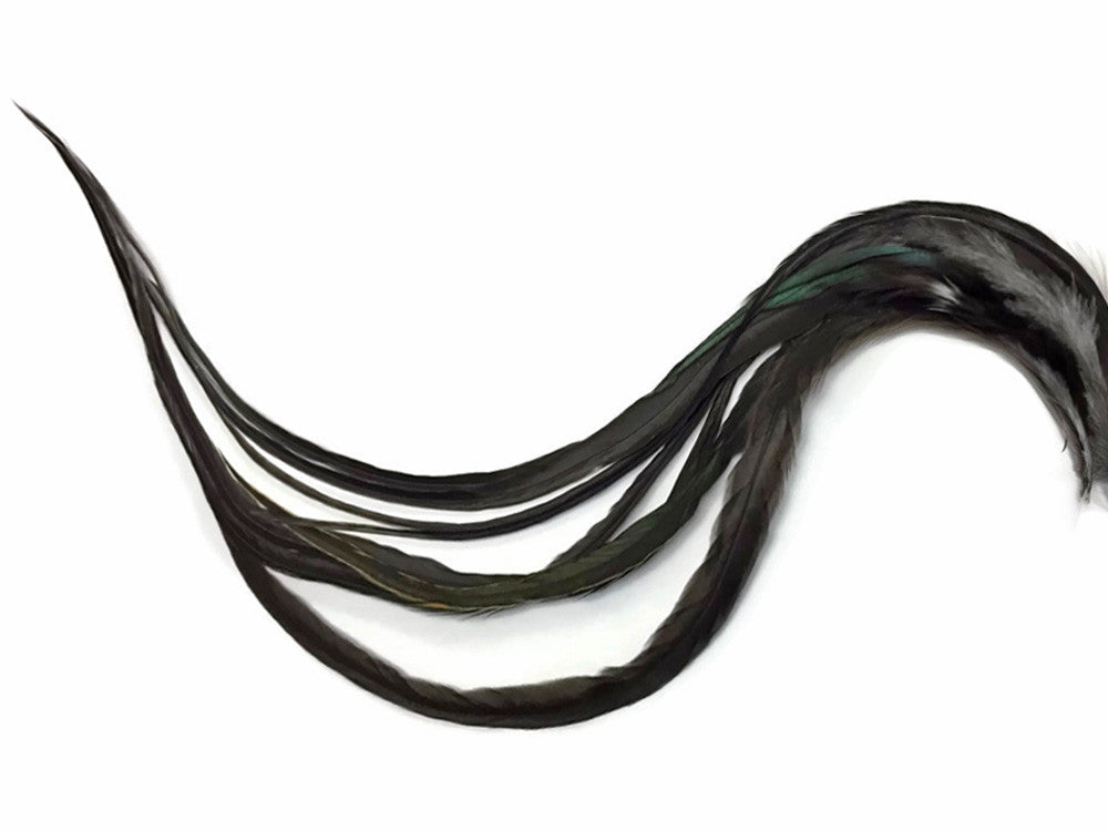 6 Pieces - Black Bronze Thick Long Rooster Hair Extension Feathers