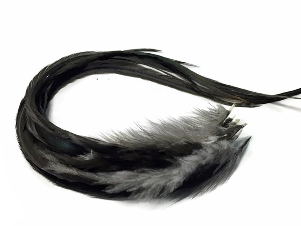 6 Pieces - XL Black Bronze  Thick Long Grizzly Whiting Farm Rooster Saddle Hair Extension Feathers