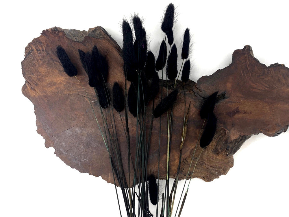 30 Pieces - 12-15" Black Bunny Tail Preserved Dried Botanical Grass Bouquet