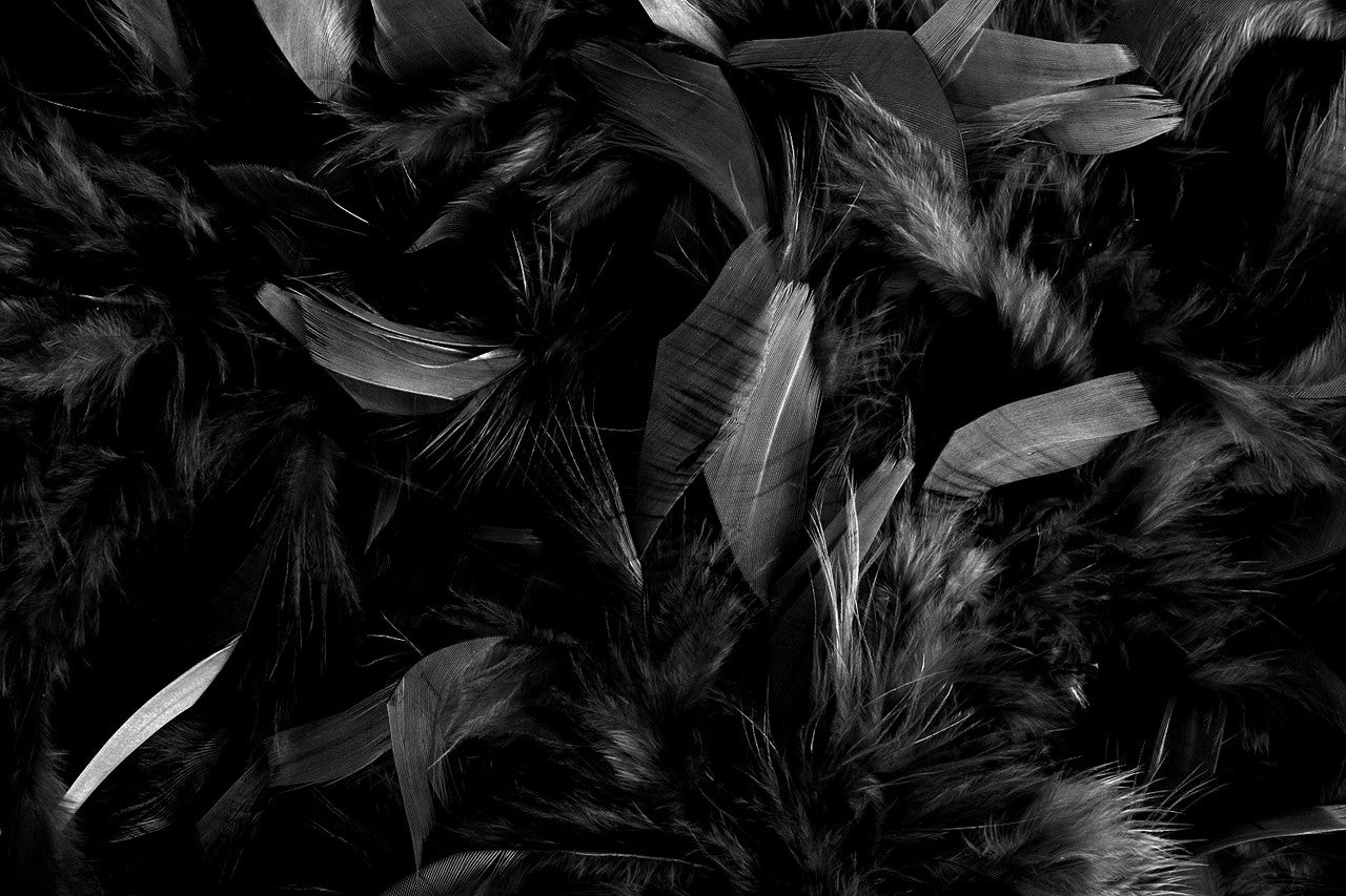 1 Yard – Black Chandelle Turkey Fluffy Feather Trim