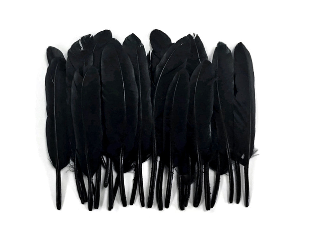 1/4 Lb. - Black Dyed Duck Cochettes Loose Wing Quill Wholesale Feather (Bulk)