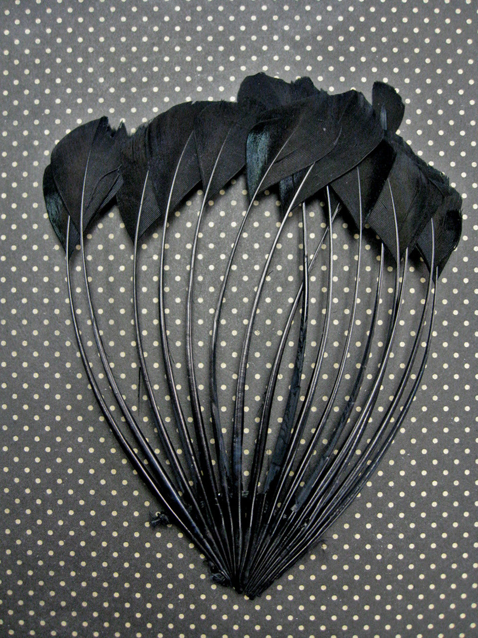 1 Piece - Black Dyed Stripped Duck Cochette Center Fan Feather Pad