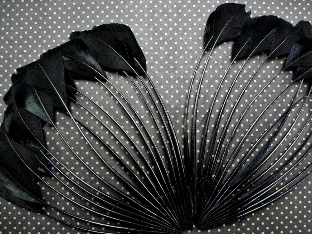 1 Piece - Black Dyed Stripped Duck Cochette Center Fan Feather Pad